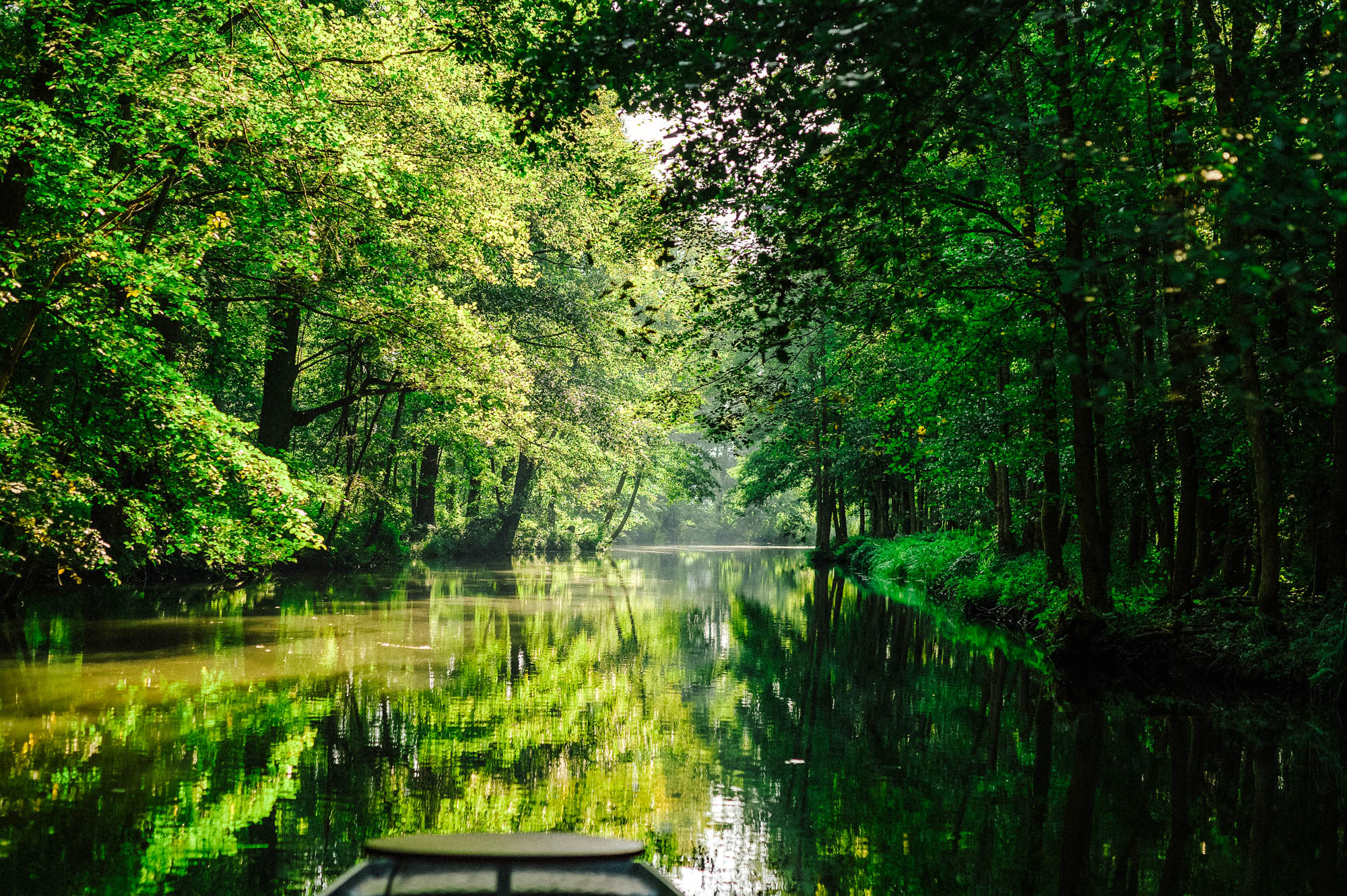 Kahnfahrt im Spreewald mit Jörg Tschirschke